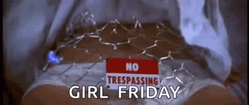 Metal wire covering a woman’s panty area with the sign ‘No Trespassing