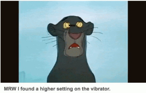 An animated cat vibrating with the caption, ‘My reaction when I found a higher setting on the vibrator’